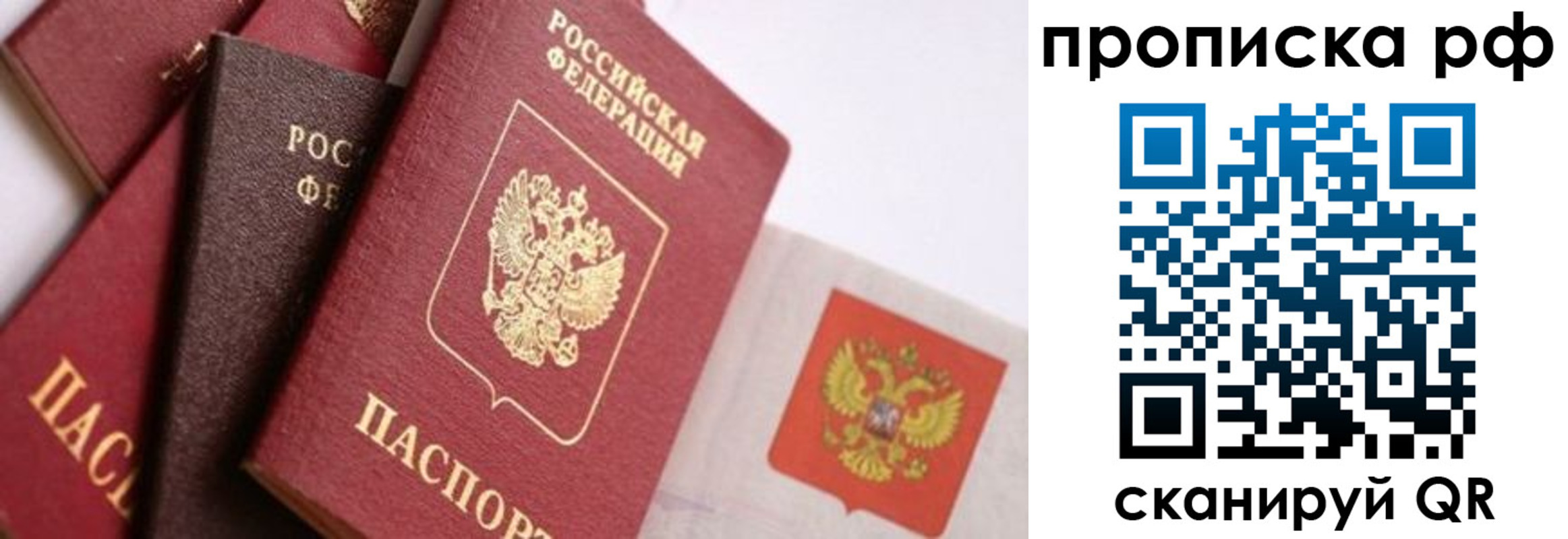 прописка ребенка в Ермолино